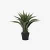 Online Daells Bolighus Agave Kunstig H.56 cm