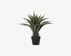Online Daells Bolighus Agave Kunstig H.56 cm