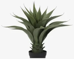 Online Daells Bolighus Agave Kunstig H.56 cm