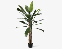 Sale Daells Bolighus Banana Kunstigt Træ H.180 cm