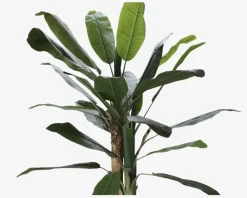 Sale Daells Bolighus Banana Kunstigt Træ H.180 cm