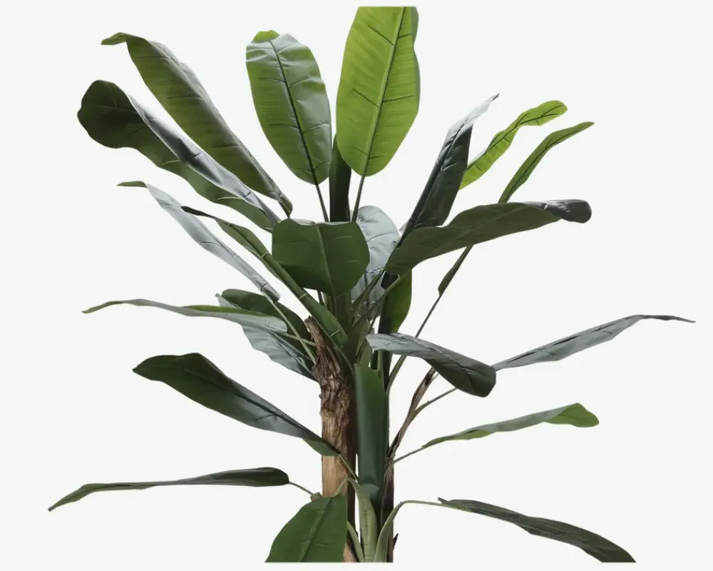 Sale Daells Bolighus Banana Kunstigt Træ H.180 cm