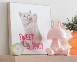 Sale Daells Bolighus Billede kitten - Sweet & spicy