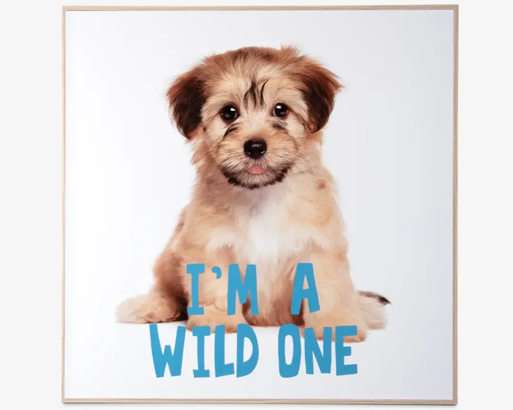Outlet Daells Bolighus Billede puppy - I am a wild one