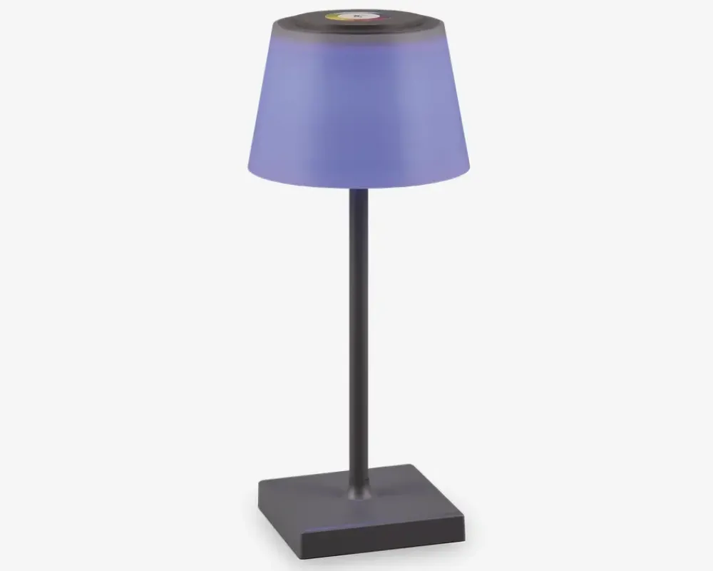 Sale Daells Bolighus Bordlampe Sanchez antracit H.30 cm Grå