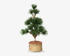 Best Daells Bolighus Cedertræ m/fod plastik H.22 cm