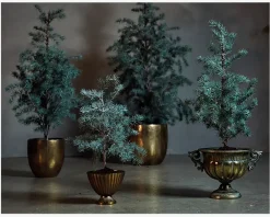 Best Daells Bolighus Cedertræ m/potte plastik H.60 cm