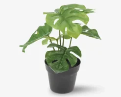 Best Daells Bolighus Grøn Plante I Potte Ass H.24 cm