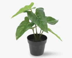 Best Daells Bolighus Grøn Plante I Potte Ass H.24 cm