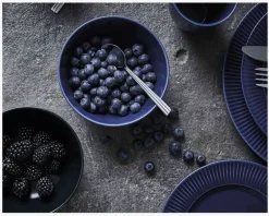 Best Daells Bolighus Groovy Skål Stentøj Blå