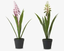 Outlet Daells Bolighus Hyacint Potte Ass H.35 cm