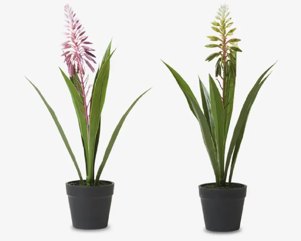 Outlet Daells Bolighus Hyacint Potte Ass H.35 cm