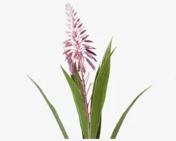 Outlet Daells Bolighus Hyacint Potte Ass H.35 cm