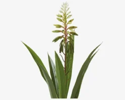 Outlet Daells Bolighus Hyacint Potte Ass H.35 cm