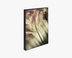 Best Daells Bolighus Klods Sence Of A Tulip 15x21 cm