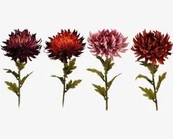 Online Daells Bolighus Krysantemum stilk ass 18x18x62 cm