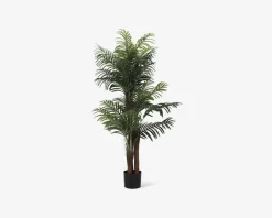 Online Daells Bolighus Kunstig Palme H.160 cm