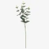 Discount Daells Bolighus Kunstige Eucalyptus Stilk H.65 cm