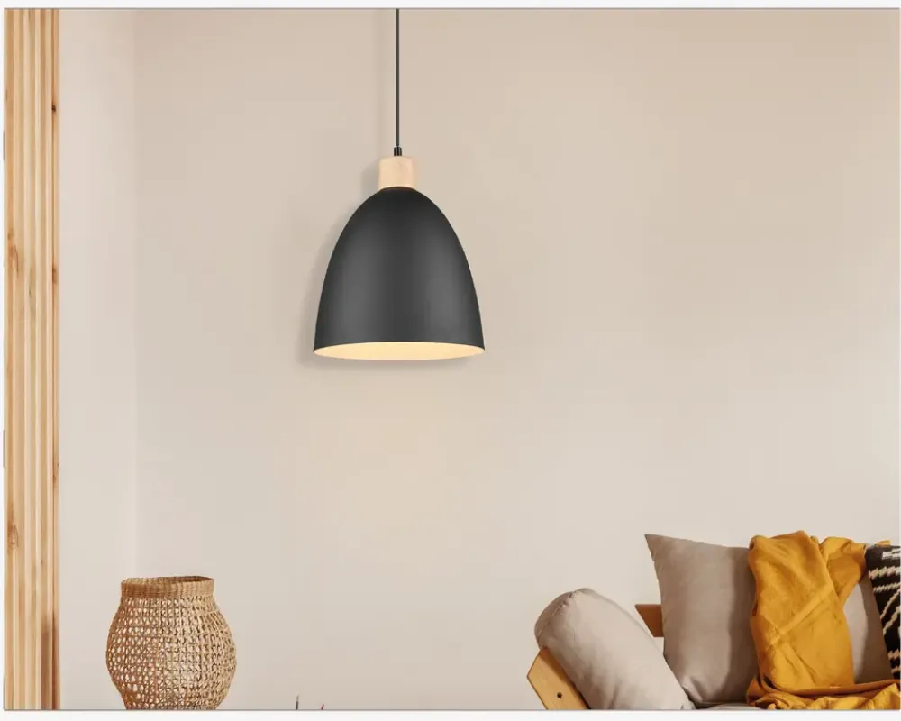 Daells Bolighus Loftlampe Jagger Sort Ø.25 cm