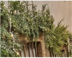 Discount Daells Bolighus Lyskæde m/perler 15 LED 1,7 meter