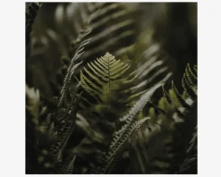 Clearance Daells Bolighus Metal Billede Grønne Planter 40 x 40 cm