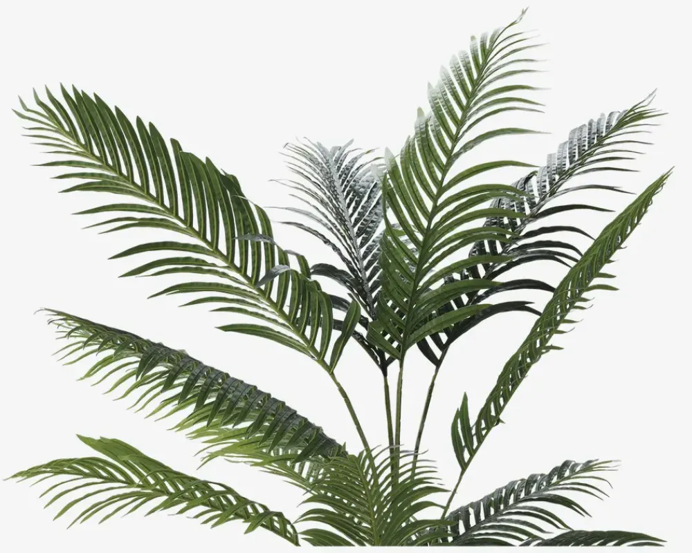 Hot Daells Bolighus Palme Træ Kunstig H.160 cm