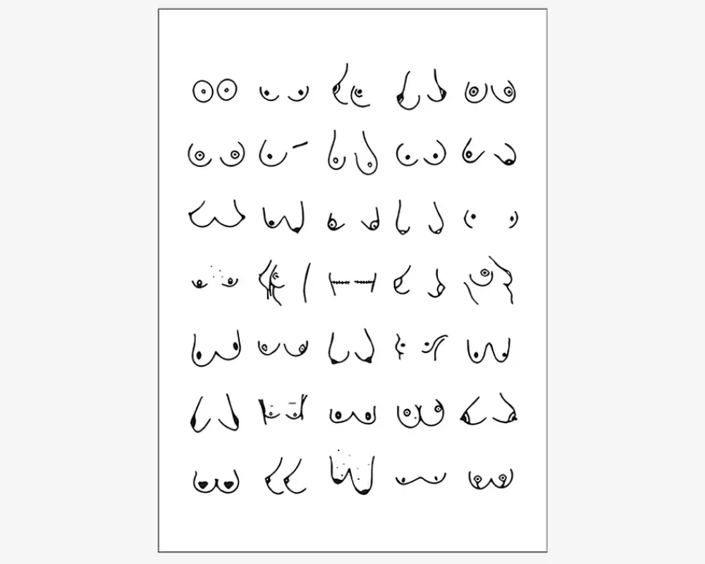 Hot Daells Bolighus Plakat Boobies