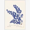 Daells Bolighus Plakat Botanical Fern III Blue