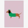 Clearance Daells Bolighus Plakat Dachshund A5