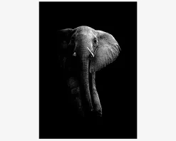 New Daells Bolighus Plakat Elefant