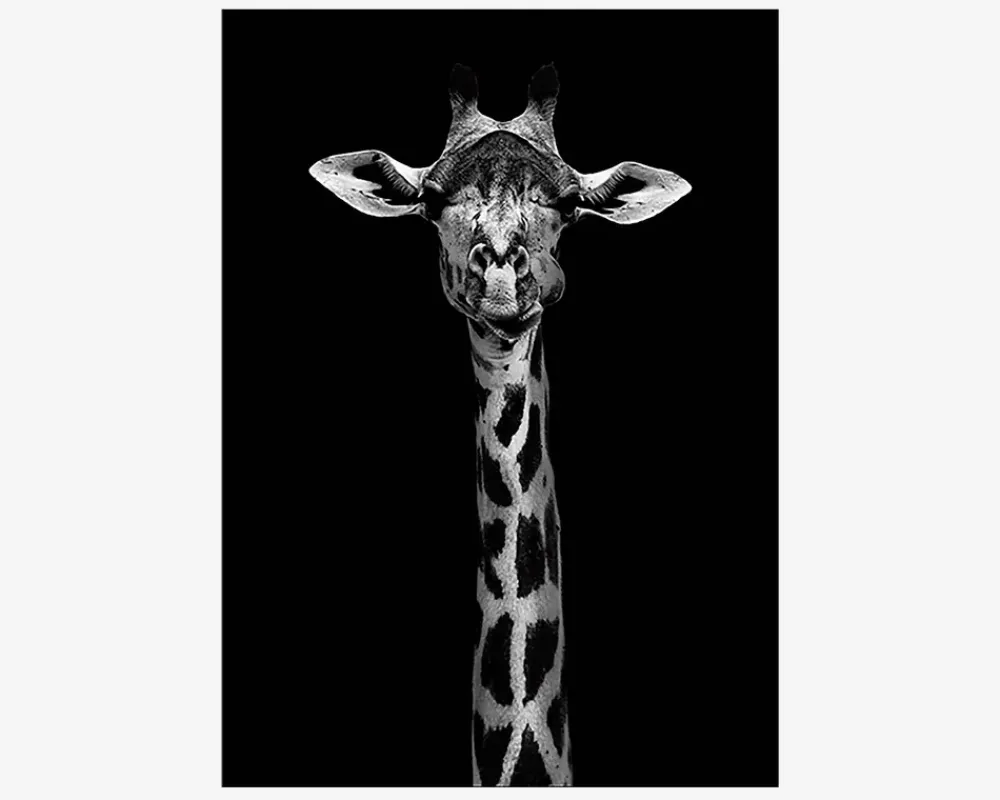 Online Daells Bolighus Plakat Giraf