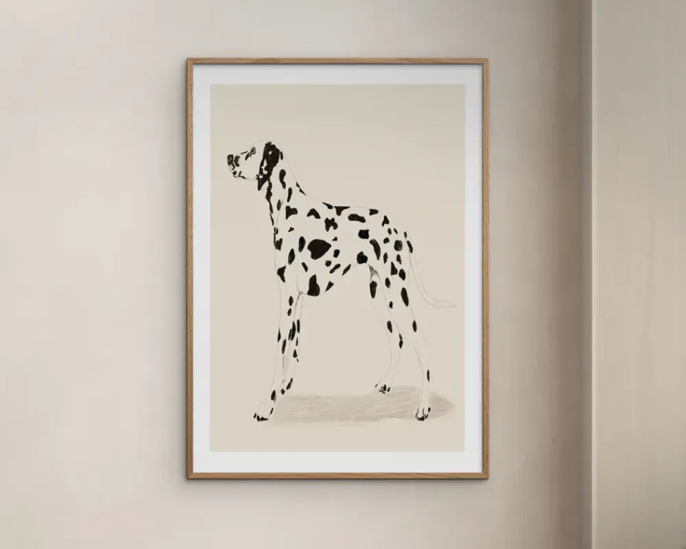 Online Daells Bolighus Plakat Jenny Liz Dalmation