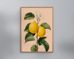 Sale Daells Bolighus Plakat Lemons Neuraland Oak 70x100 cm