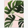 Sale Daells Bolighus Plakat Monsteras Pink
