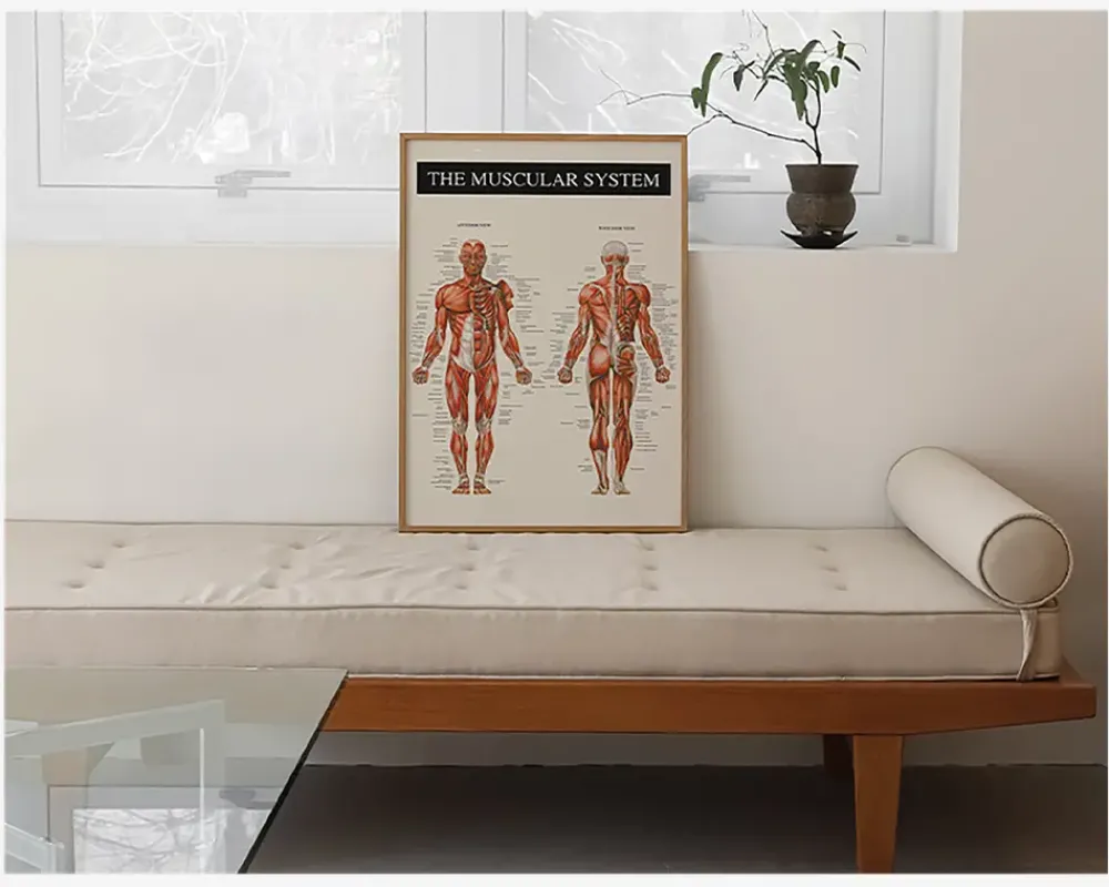 Outlet Daells Bolighus Plakat Muskulatur