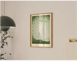 Best Daells Bolighus Plakat Peacock -A.P. Atelier