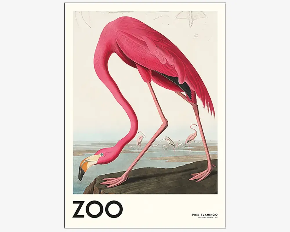 New Daells Bolighus Plakat Pink Flamingo