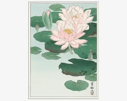 Online Daells Bolighus Plakat Waterlilies Japansk