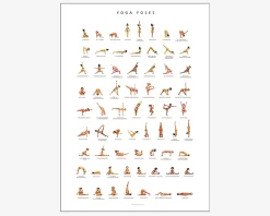 Sale Daells Bolighus Plakat Yoga Poses