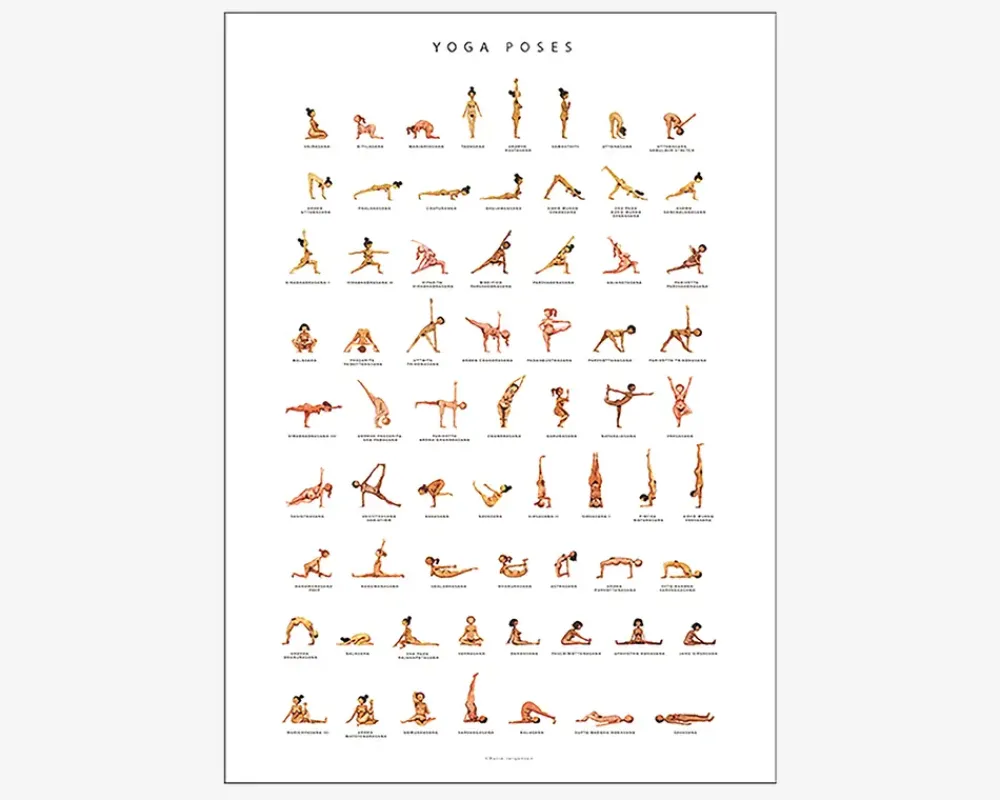 Sale Daells Bolighus Plakat Yoga Poses