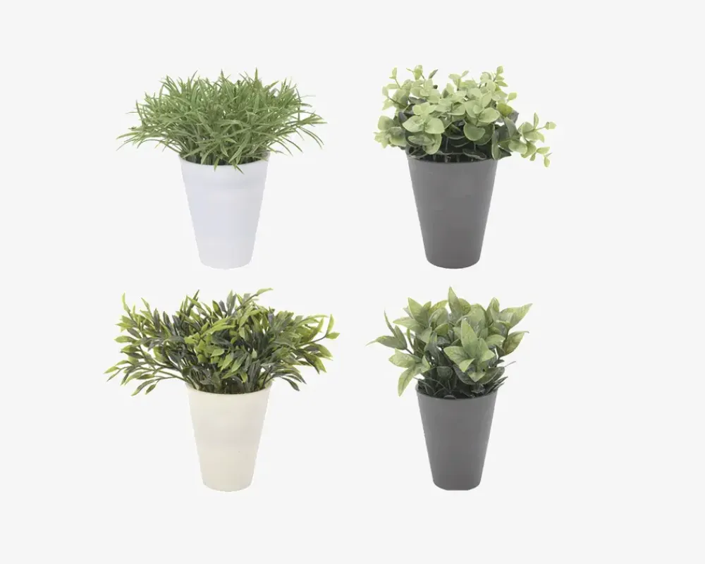 Hot Daells Bolighus Plante i potte ass H.24 cm