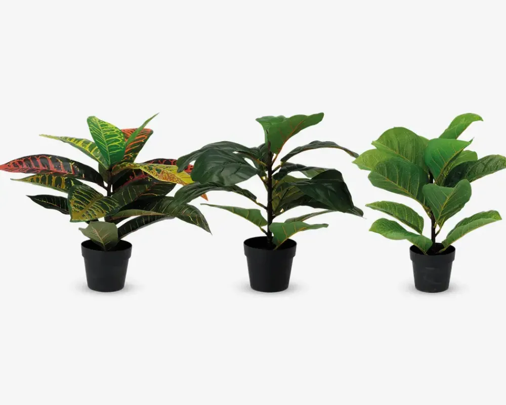 Outlet Daells Bolighus Plante kunstig 38 cm ass.