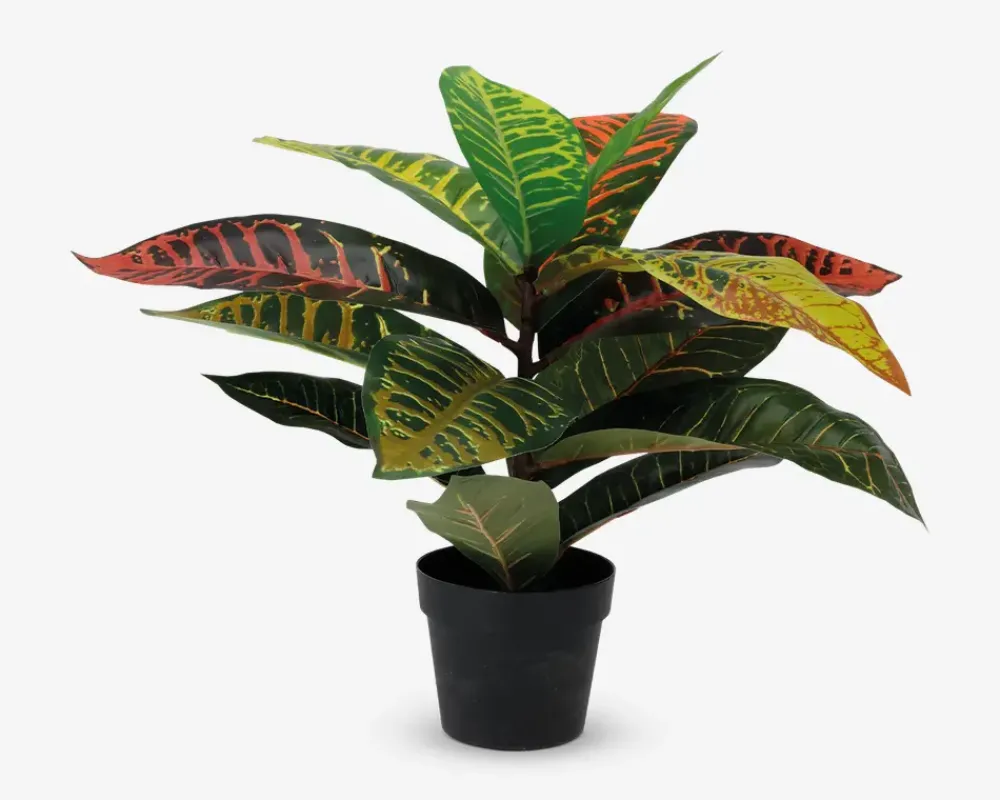 Outlet Daells Bolighus Plante kunstig 38 cm ass.