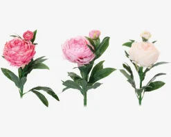 Daells Bolighus Pæon stilk ass 17x17x61 cm