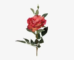 Online Daells Bolighus Rose stilk ass 10x10x59 cm