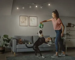 Online Daells Bolighus Spot 6xGU10 hvid L.119,8 cm