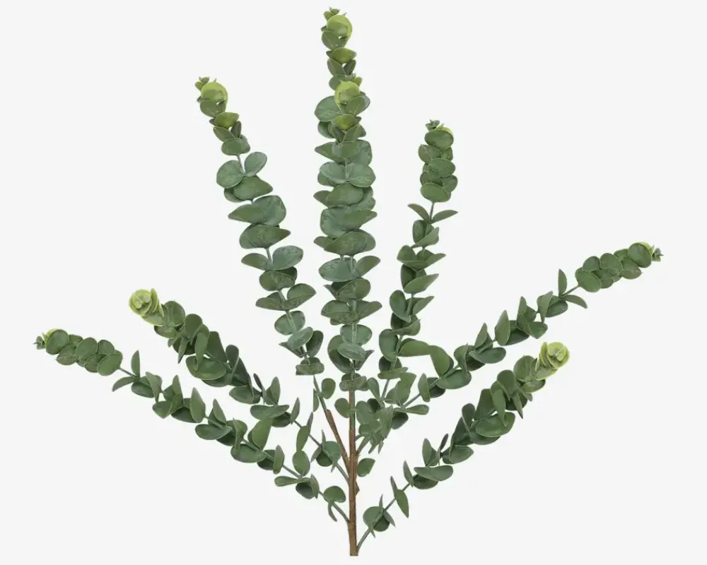 Online Daells Bolighus Stilk Eucalyptus Grøn H.70 cm