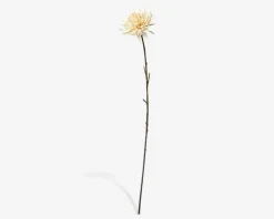 Discount Daells Bolighus Stilk Krysantemum Hvid H.75 cm