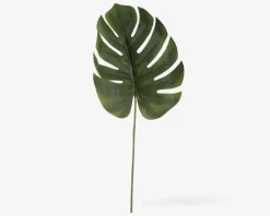 Discount Daells Bolighus Stilk Monstera H.61 cm Grøn