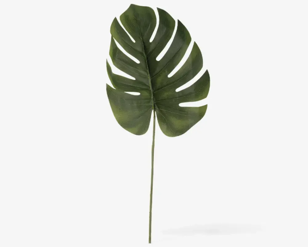 Discount Daells Bolighus Stilk Monstera H.61 cm Grøn